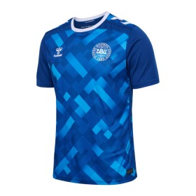 Goedkope Denemarken Doelman EK 2024 Blauwe